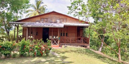 Finca en Castillo, Carr. San Francisco – Nagua.